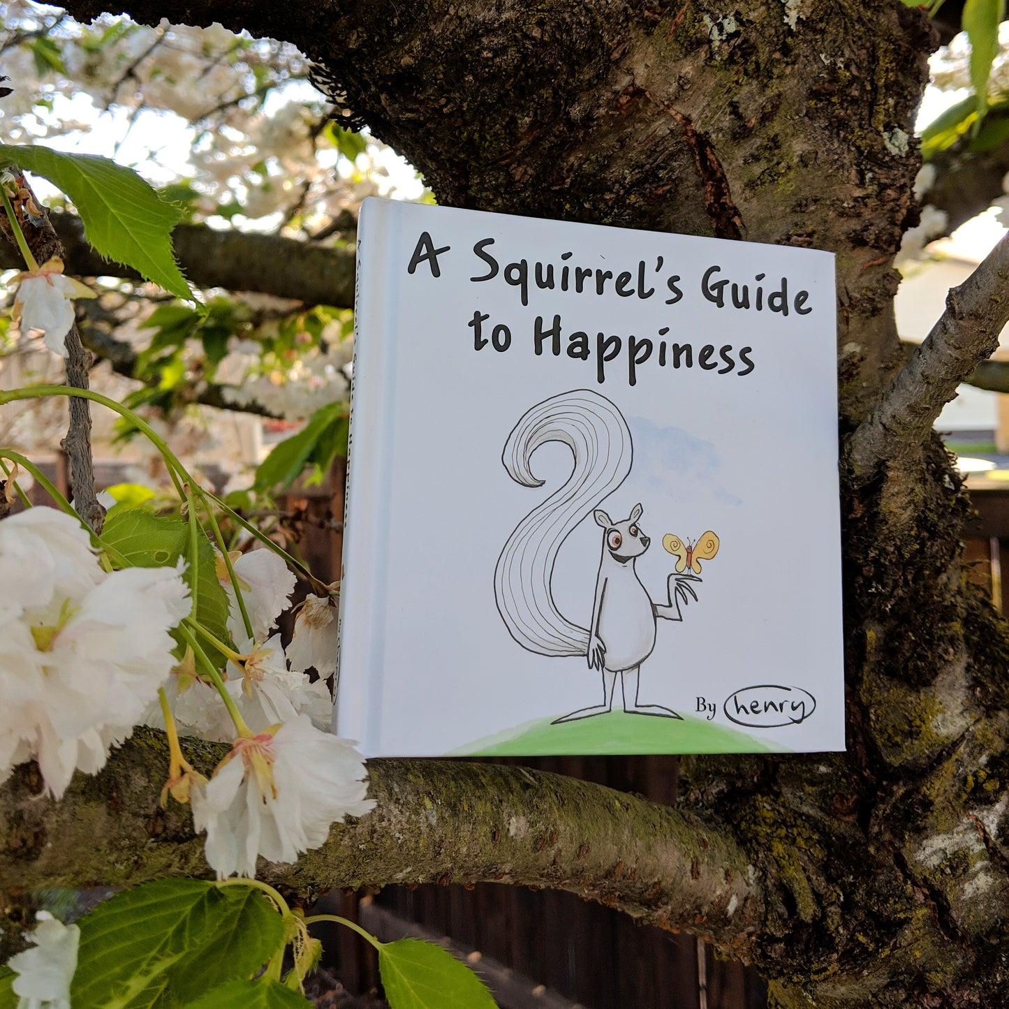 A Squirrels Guide to Happiness Book - Art of Henry