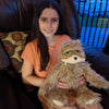 Sasquatch Plush | Original Art by Seattle Mural Artist Ryan 